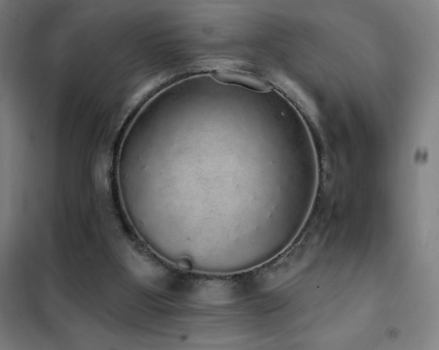X0000102290107200807251431