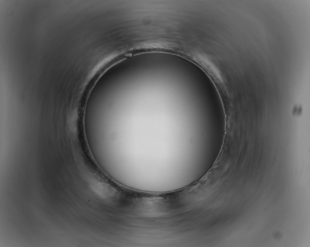 X0000102290108200807251431