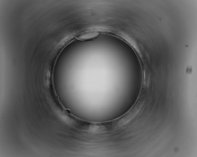 X0000102290109200807251431
