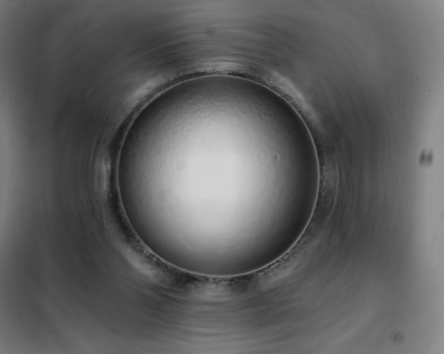 X0000102290110200807251431