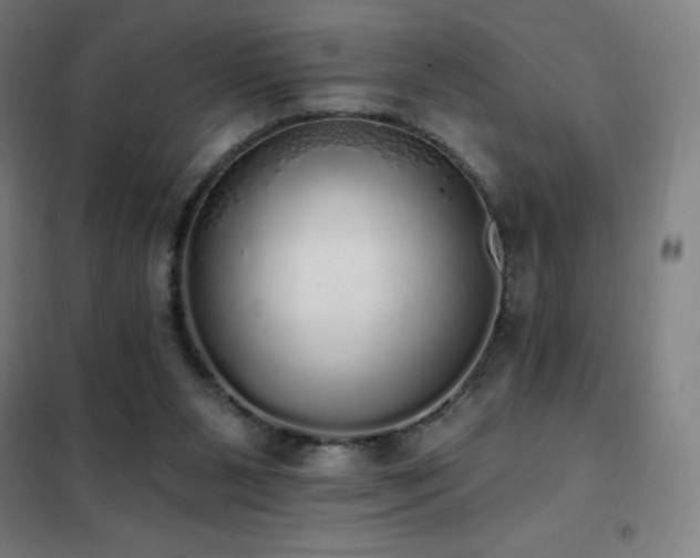 X0000102290111200807251431