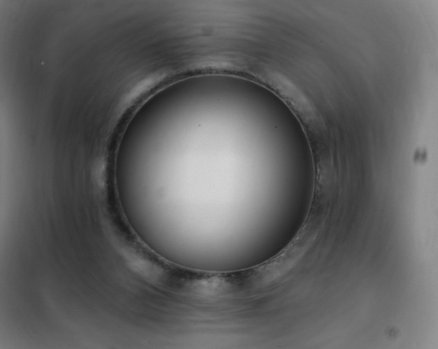 X0000102290112200807251431