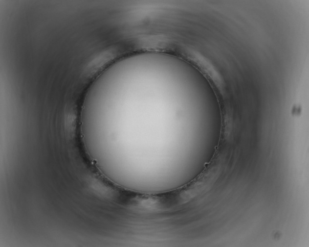 X0000102290113200807251431
