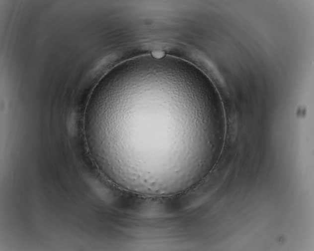 X0000102290114200807251431