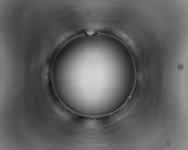 X0000102290115200807251431
