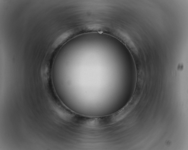 X0000102290116200807251431