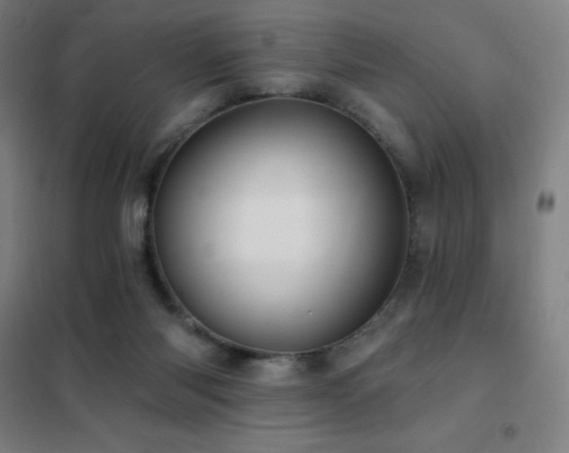 X0000102290118200807251431