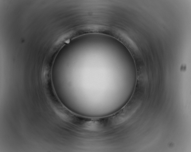 X0000102290119200807251431