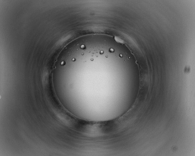 X0000102290120200807251431