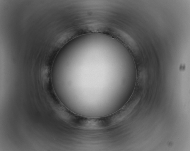 X0000102290121200807251431