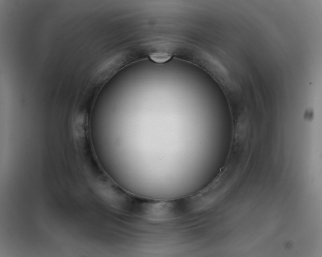 X0000102290122200807251431