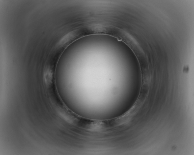 X0000102290124200807251431