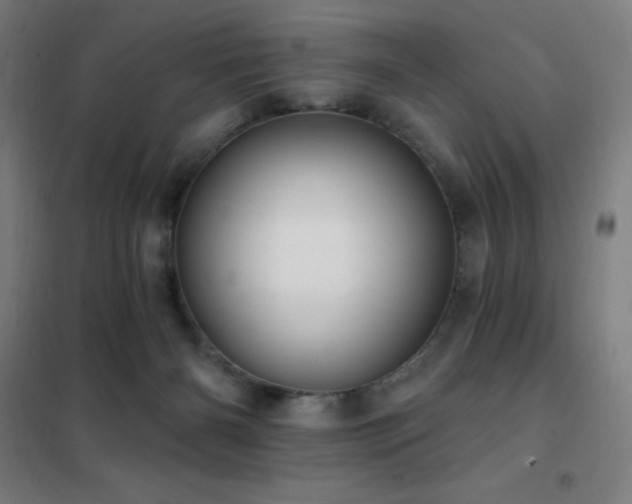 X0000102290126200807251431