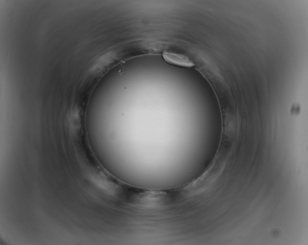 X0000102290128200807251431