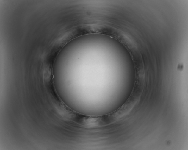X0000102290129200807251431