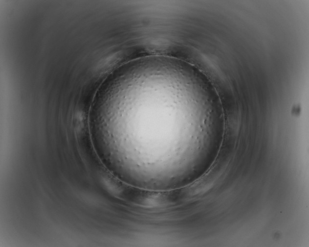 X0000102290130200807251430