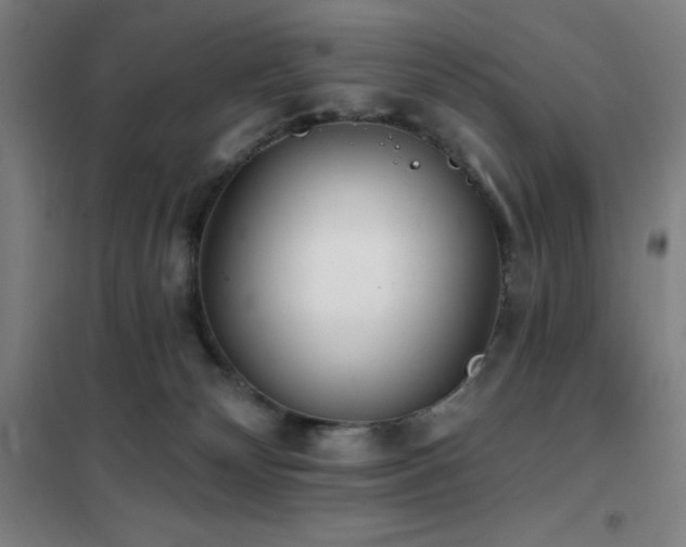 X0000102290132200807251430