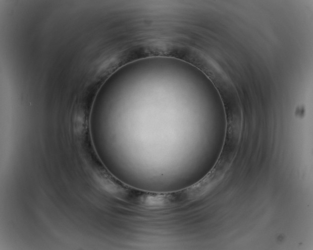 X0000102290134200807251430