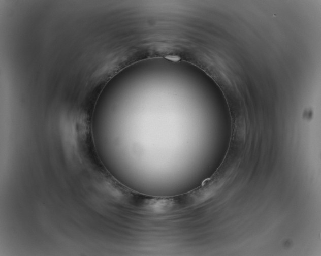 X0000102290135200807251430