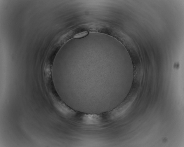 X0000102290137200807251430