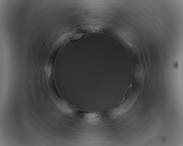 X0000102290139200807251430
