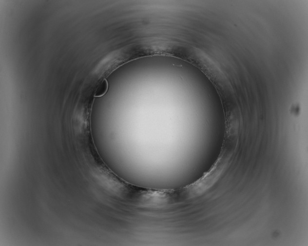 X0000102290140200807251430