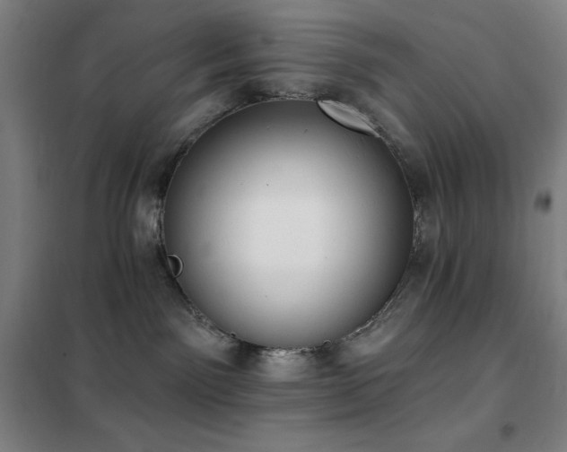 X0000102290141200807251430