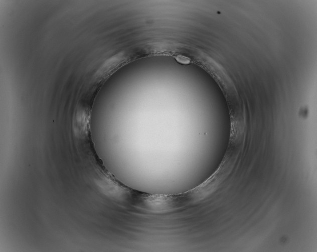 X0000102290142200807251430