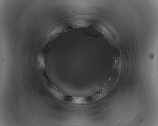 X0000102290143200807251430
