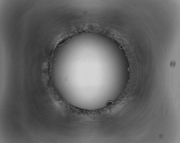 X0000102290144200807251430
