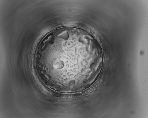 X0000102290145200807251429