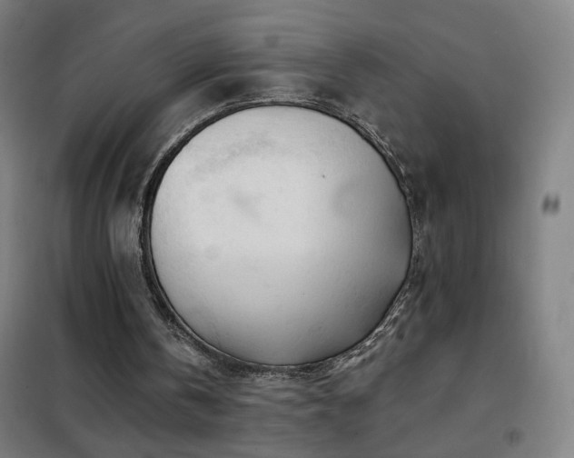 X0000102290146200807251429