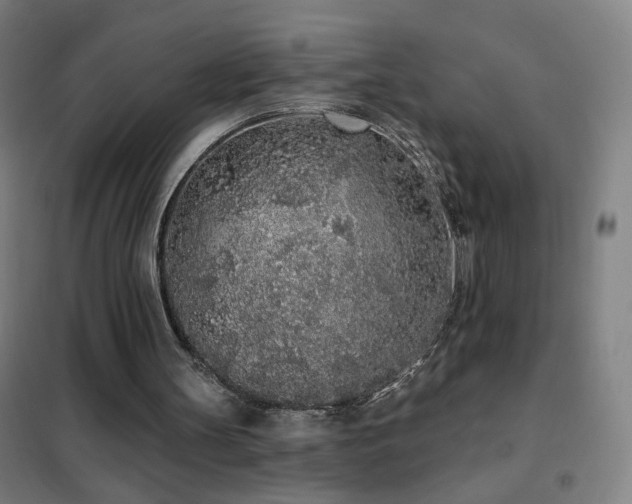 X0000102290147200807251429