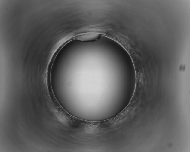 X0000102290148200807251429
