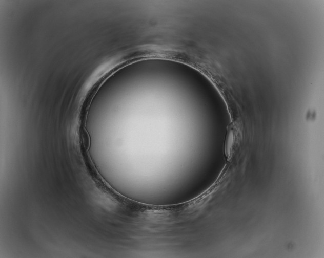 X0000102290150200807251429