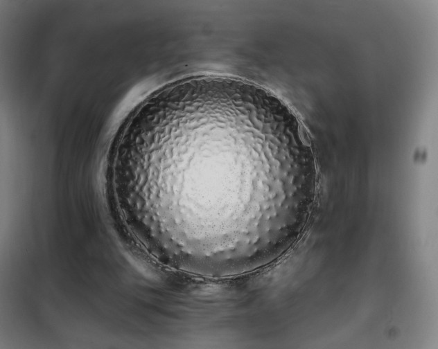 X0000102290151200807251429