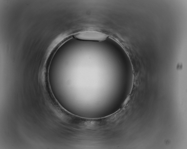 X0000102290152200807251429