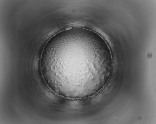 X0000102290153200807251429