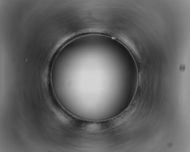 X0000102290156200807251429