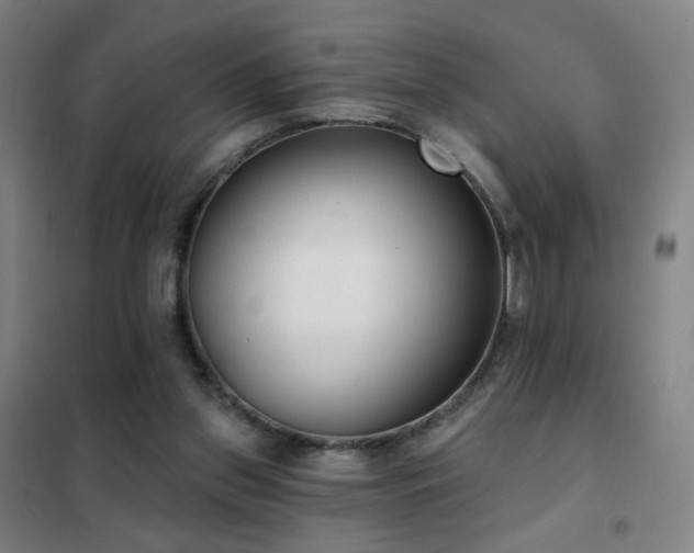 X0000102290157200807251429