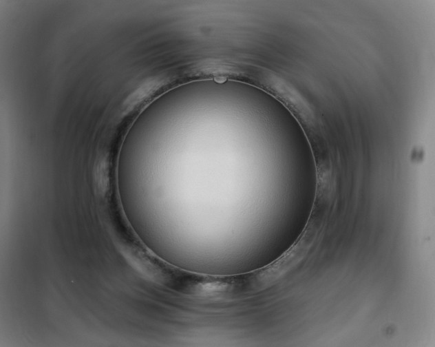 X0000102290158200807251429