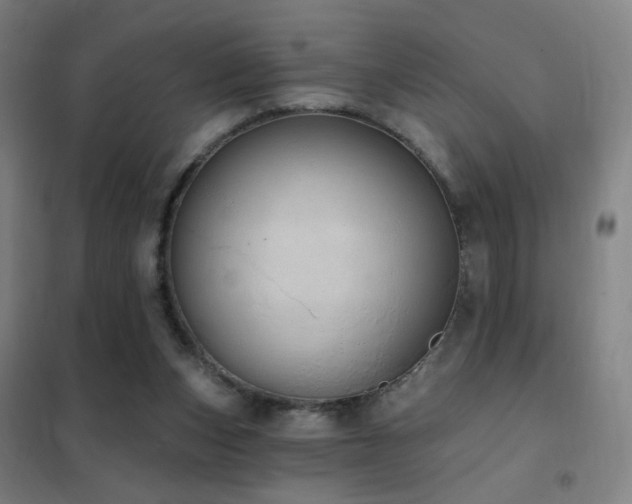 X0000102290159200807251429