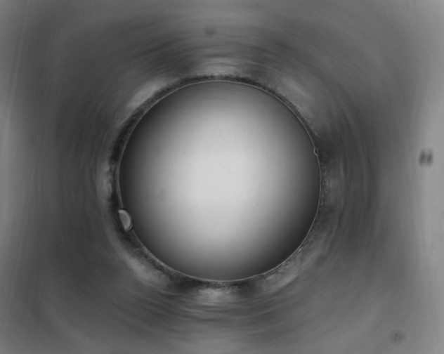 X0000102290160200807251430