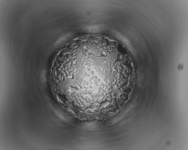 X0000102290161200807251430