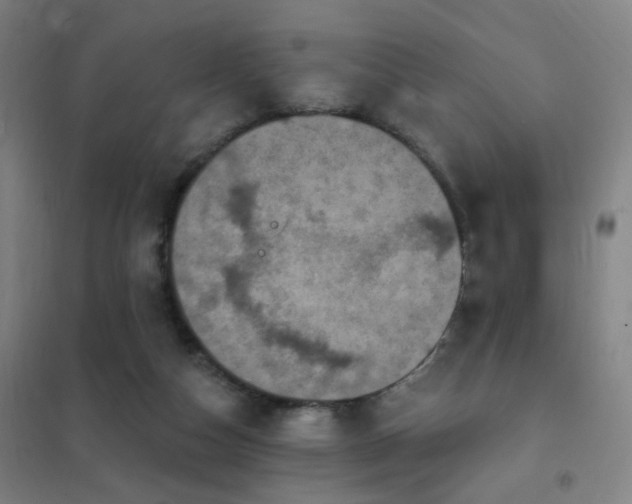 X0000102290162200807251430