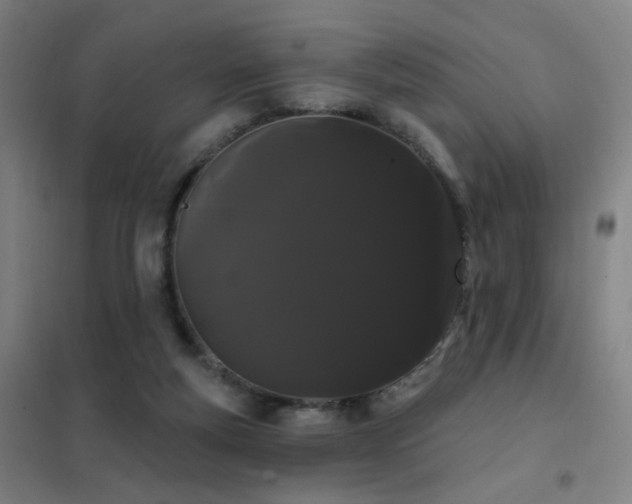 X0000102290163200807251430