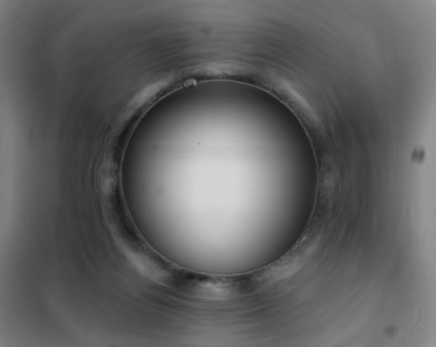 X0000102290164200807251430