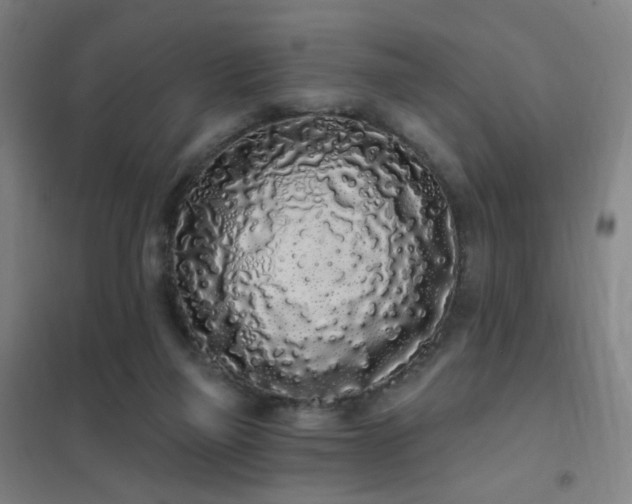 X0000102290165200807251430