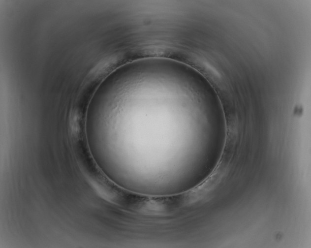 X0000102290166200807251430