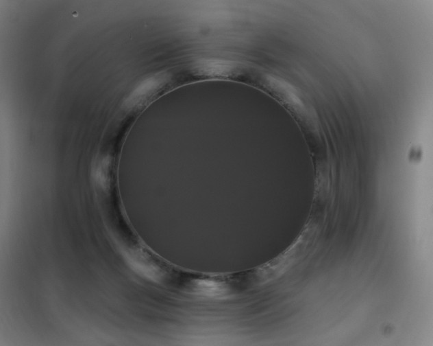 X0000102290167200807251430